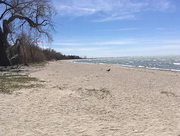 SANDPIPER BEACH AND LAKE MANITOBA ESTATES